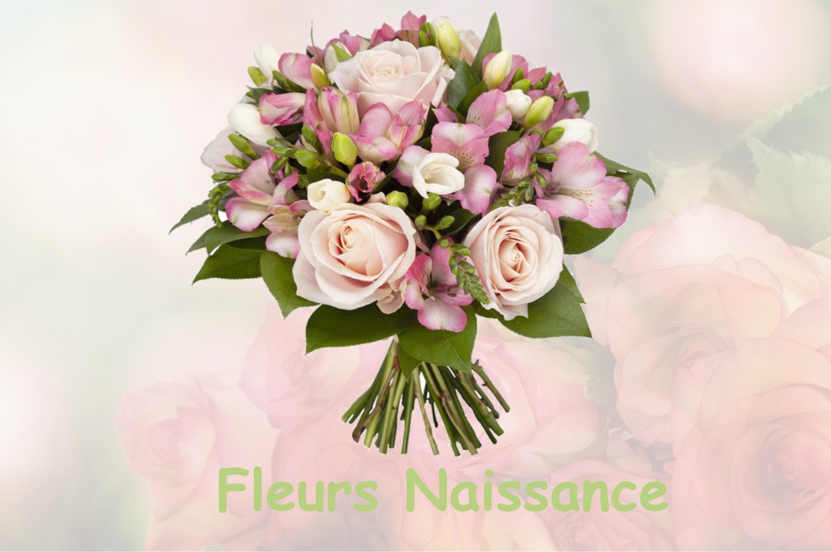 fleurs naissance MAZIERES-DE-TOURAINE